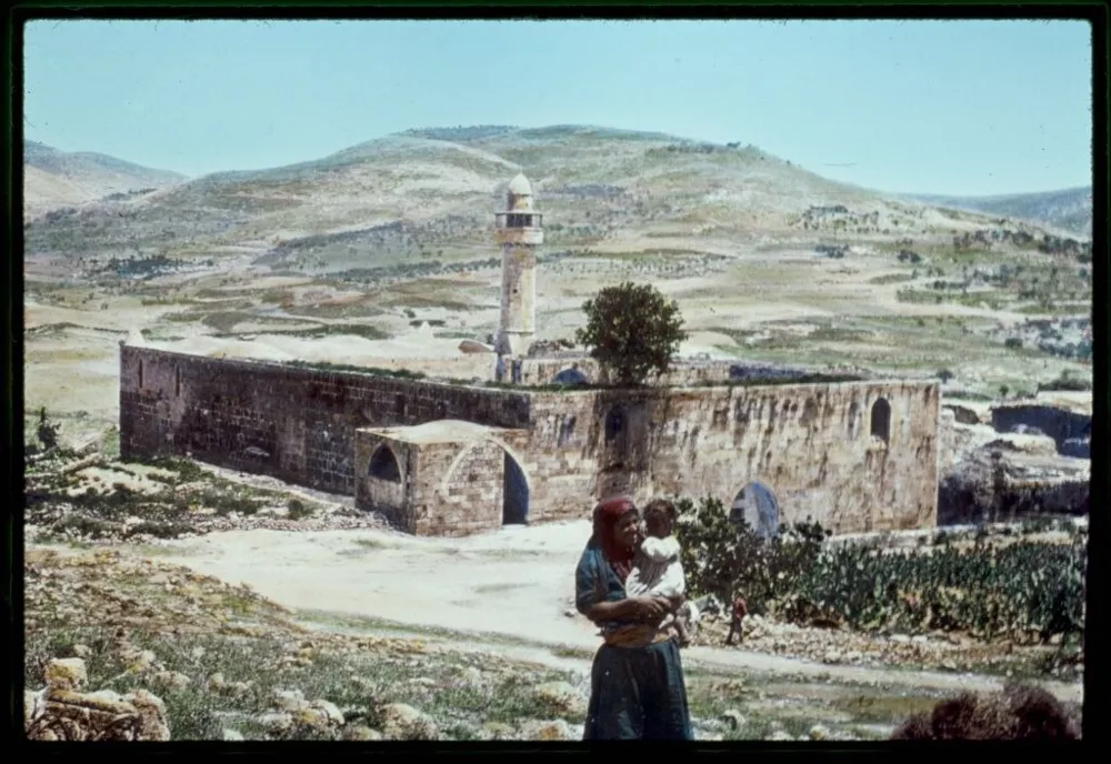 Nabi Yahya Camii (Sebastia)