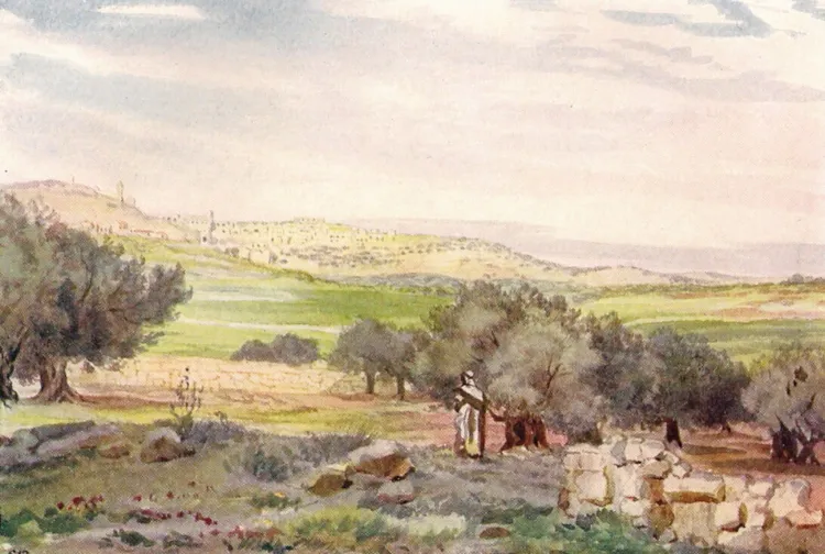 Beytüllahim — eser 12