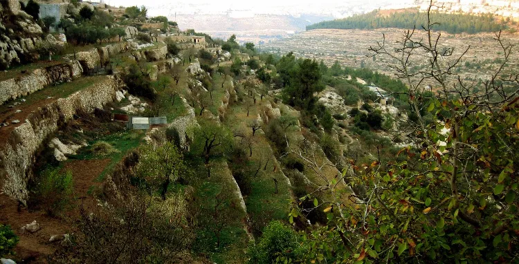 Beytüllahim — eser 32