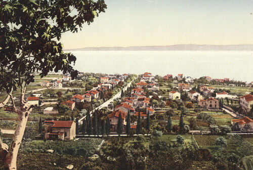 Hayfa — eser 29
