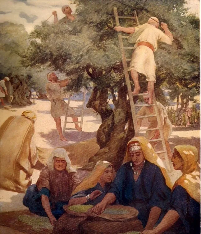 Beytüllahim — eser 16