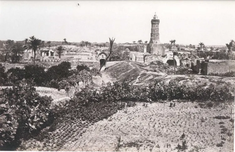 Gazze — eser 17